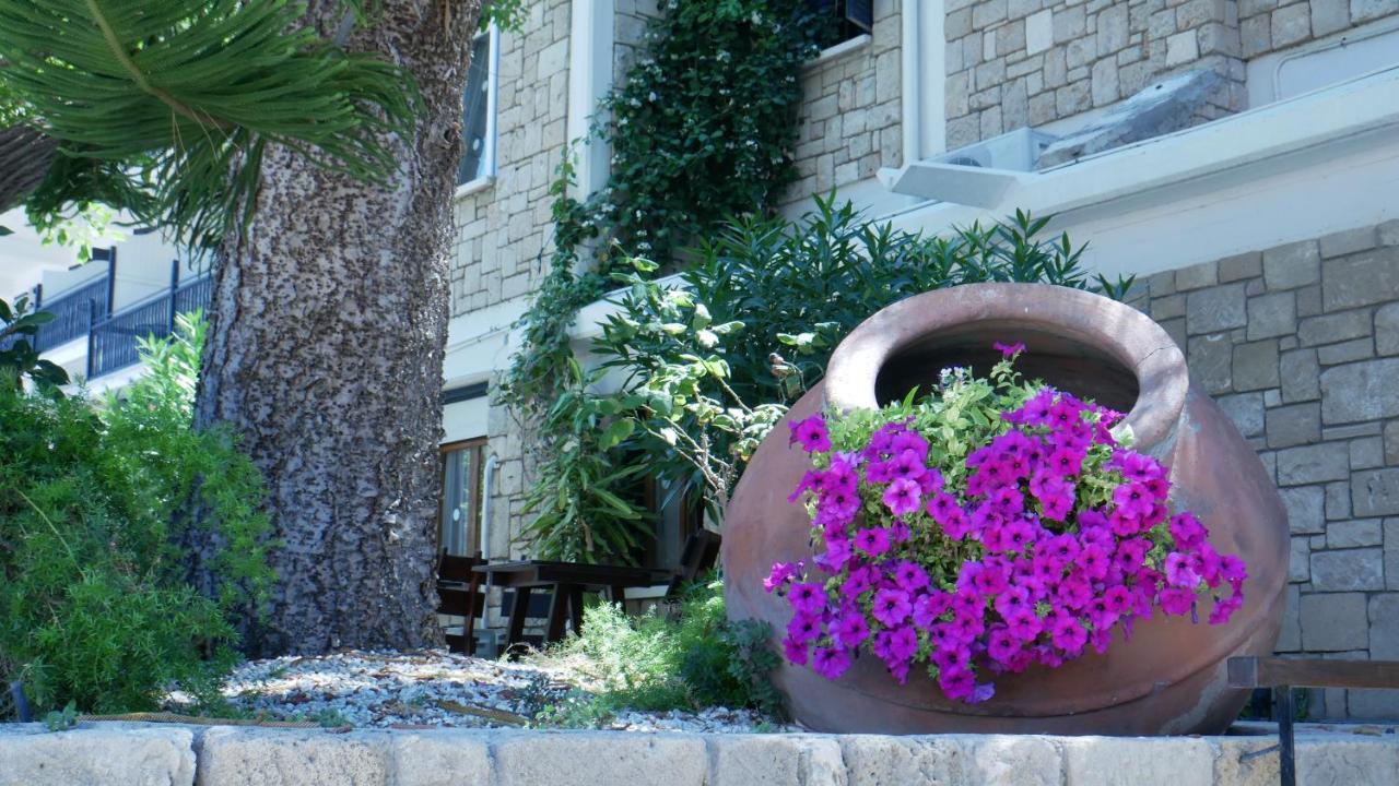 Dionysos Central Pafos Dış mekan fotoğraf