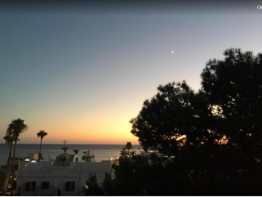 Dionysos Central Pafos Dış mekan fotoğraf